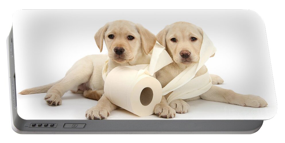 Labrador Retriever Portable Battery Charger featuring the photograph Toilet Humour by Warren Photographic
