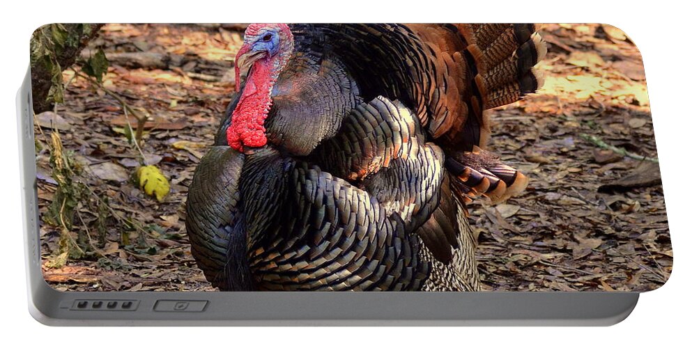 Turkey Portable Battery Charger featuring the photograph Tom the Turkey by Carla Parris