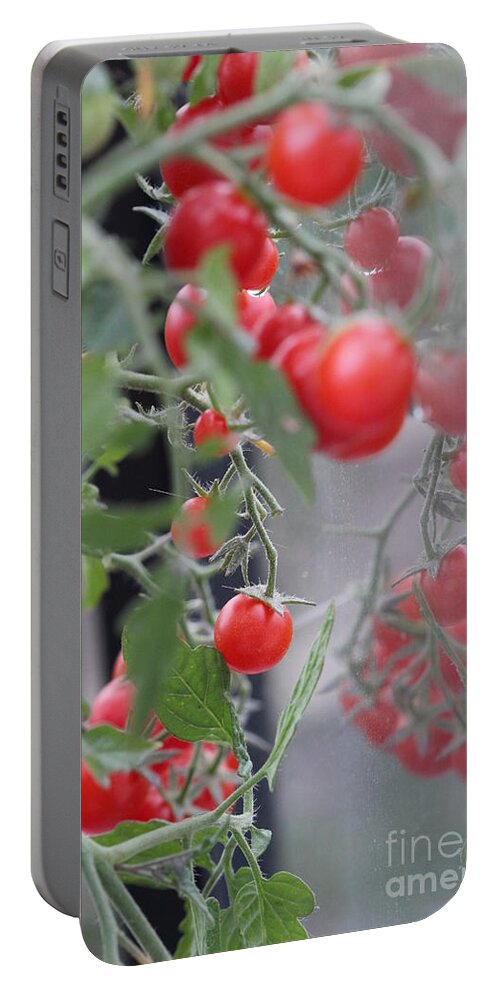 Tomatoes Portable Battery Charger featuring the digital art Tomatoes by Donna L Munro