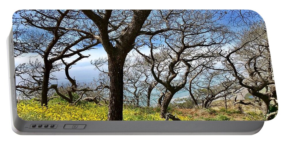 Photography Portable Battery Charger featuring the photograph Torrey Pines by Sean Griffin