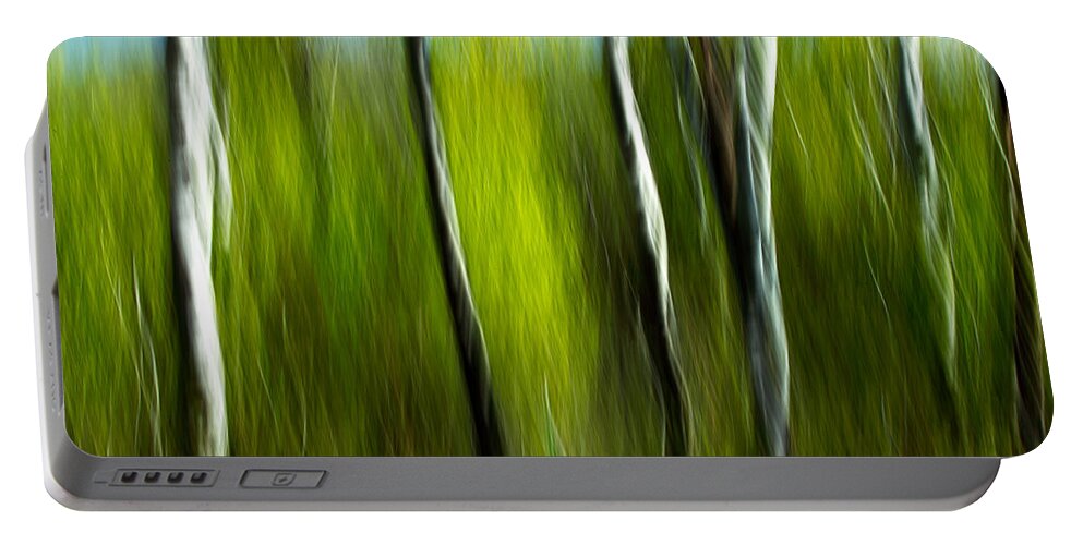 Trees Portable Battery Charger featuring the photograph Torsion and Tension by Todd Klassy