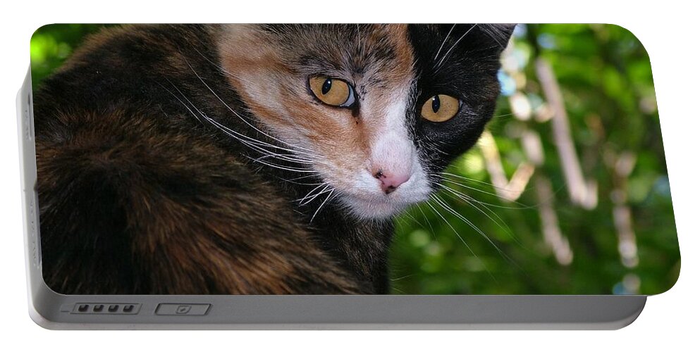 Cat Portable Battery Charger featuring the photograph Tortie by Tracey Vivar