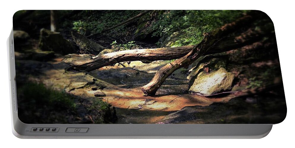 Log Portable Battery Charger featuring the photograph Touched by Shelley Smith