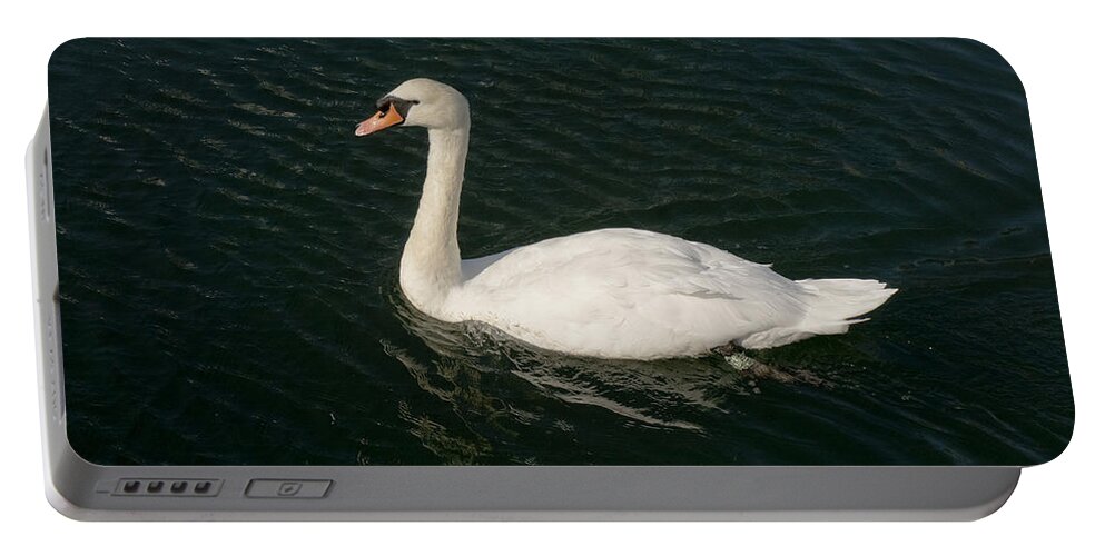 Swan Portable Battery Charger featuring the photograph Tour de Swan. Trois. by Elena Perelman