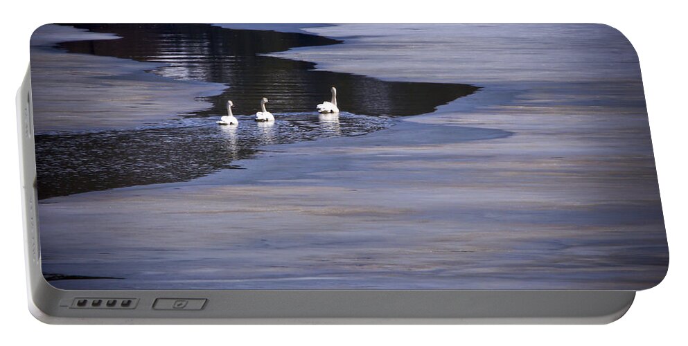 Tundra Swan Portable Battery Charger featuring the photograph Tourist Swans by Albert Seger
