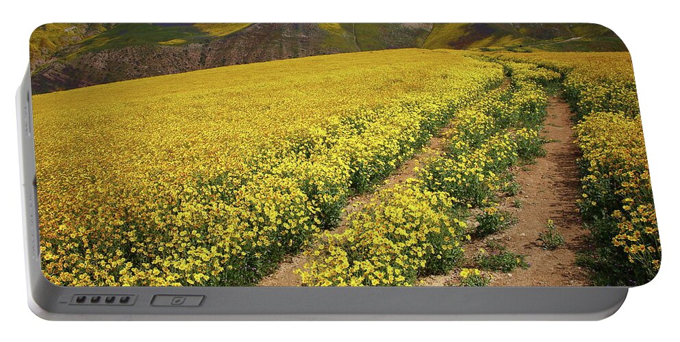 Wildflower Portable Battery Charger featuring the photograph Trail of wildflowers up the Temblor Range at Carrizo Plain National Monument by Jetson Nguyen
