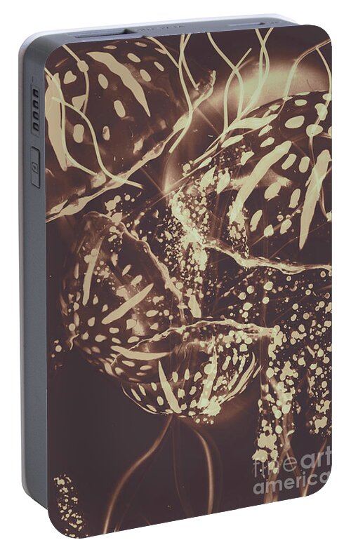 Fish Portable Battery Charger featuring the photograph Translucent abstraction by Jorgo Photography