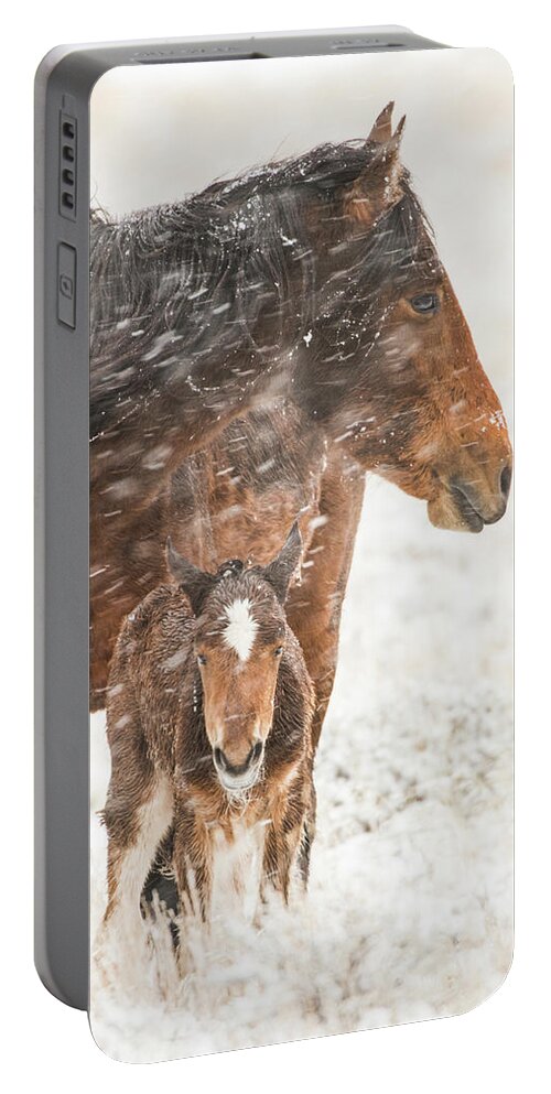 Wild Horses Portable Battery Charger featuring the photograph Treasure and Storm by John T Humphrey