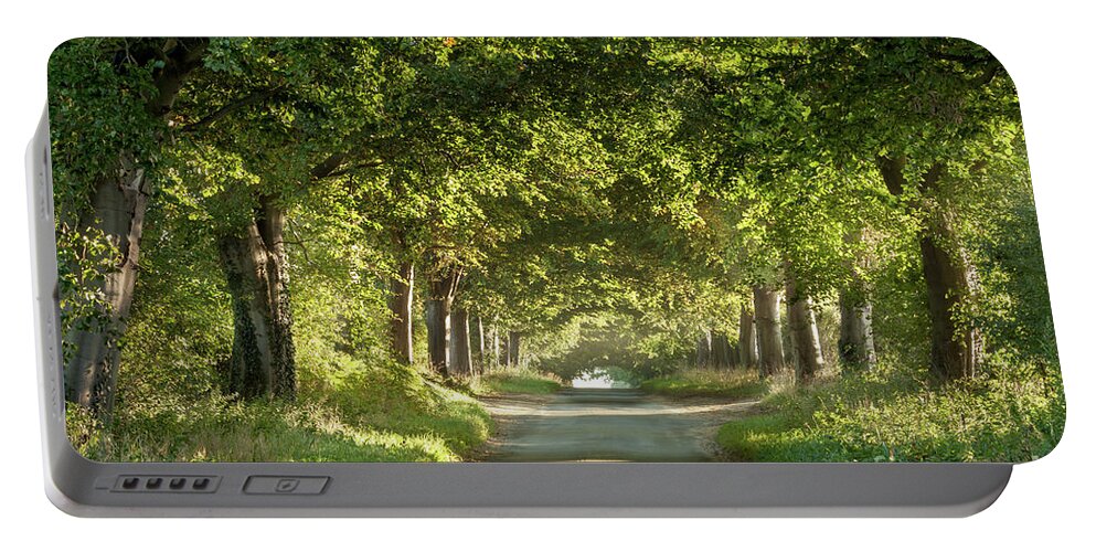 Landscape Portable Battery Charger featuring the photograph Tree arches over a country lane by Simon Bratt