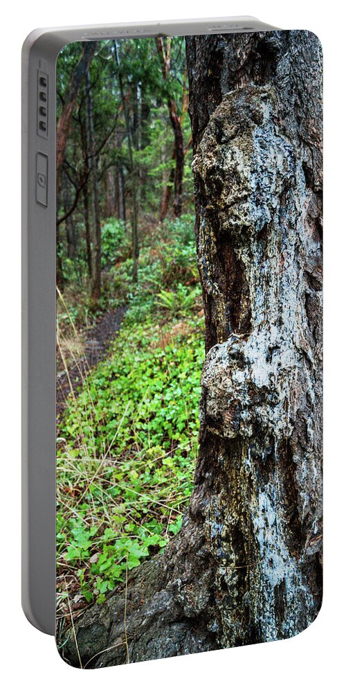 Tree Portable Battery Charger featuring the photograph Tree Feelings -6763 by Tim Dussault
