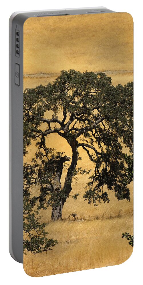 Trees Portable Battery Charger featuring the photograph Tree Formation 2 by Karen W Meyer