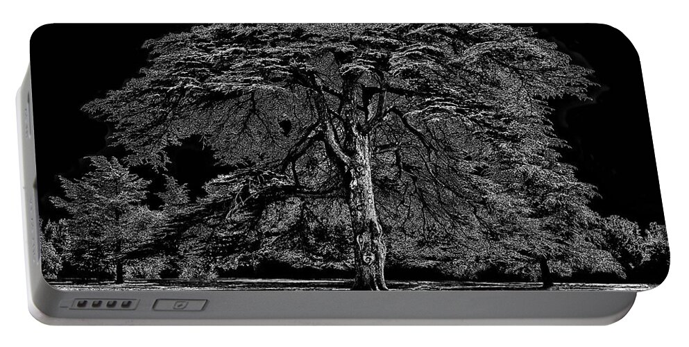 Tree Portable Battery Charger featuring the photograph Tree in England by Walt Foegelle