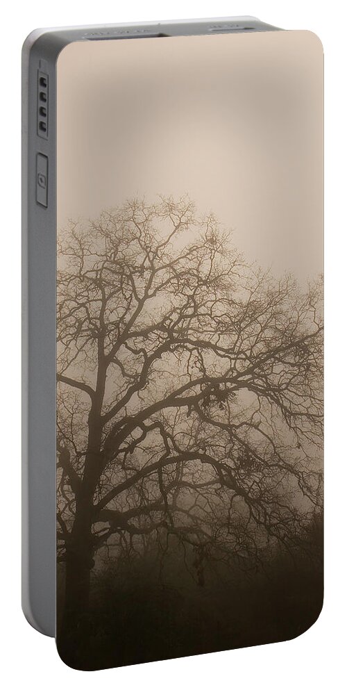Bark Portable Battery Charger featuring the photograph Tree in Fog by Darryl Brooks