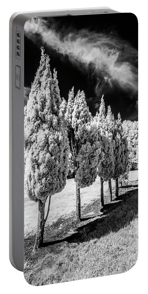 Infrared Portable Battery Charger featuring the photograph Tree Line-Up by Roseanne Jones