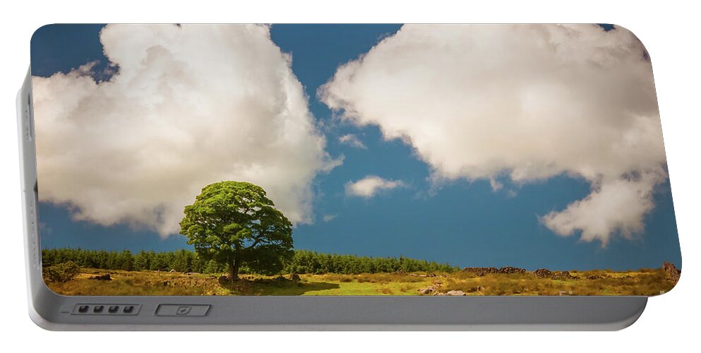 Airedale Portable Battery Charger featuring the photograph Tree by Mariusz Talarek