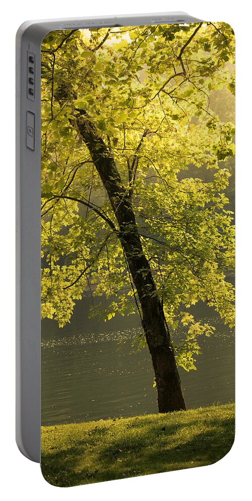 Tree Portable Battery Charger featuring the photograph Tree Of Light by Shane Holsclaw