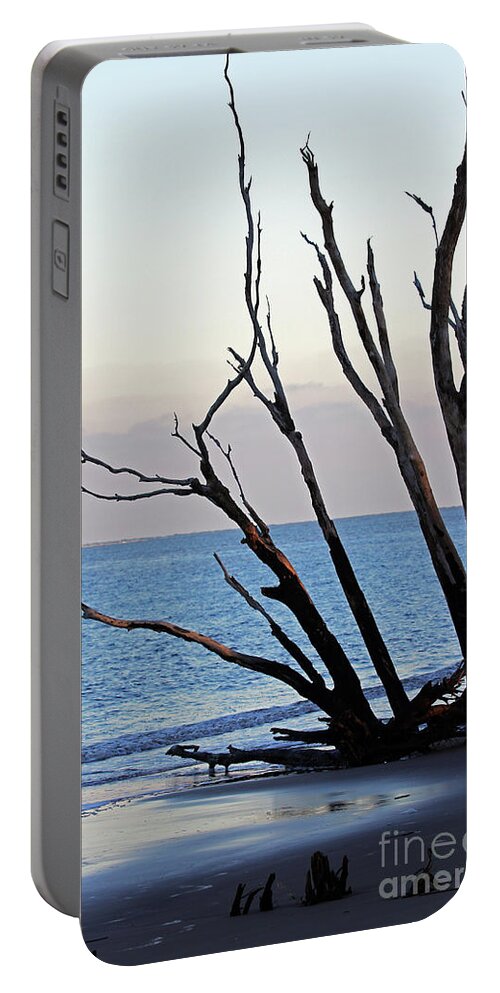 Trees Portable Battery Charger featuring the photograph Tree on Boneyard Beach by Jennifer Robin