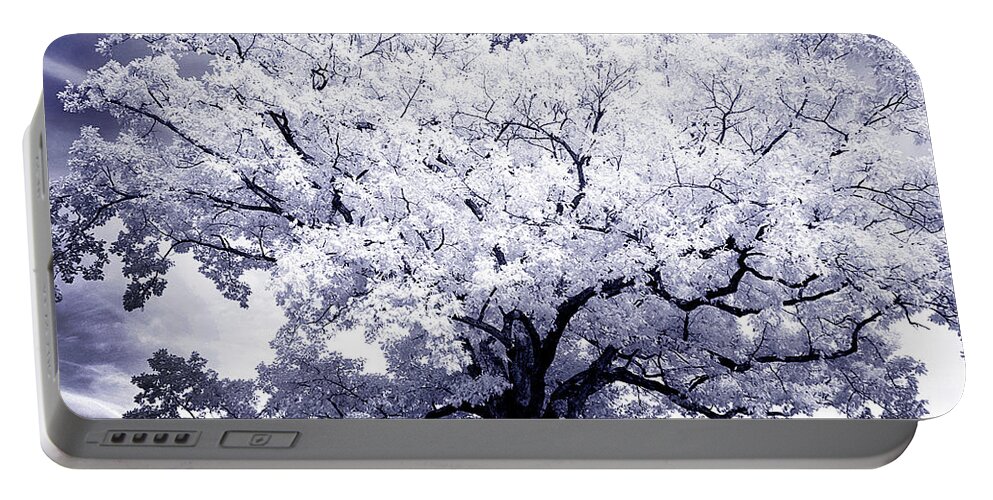 Tree Portable Battery Charger featuring the photograph Tree by Paul W Faust - Impressions of Light