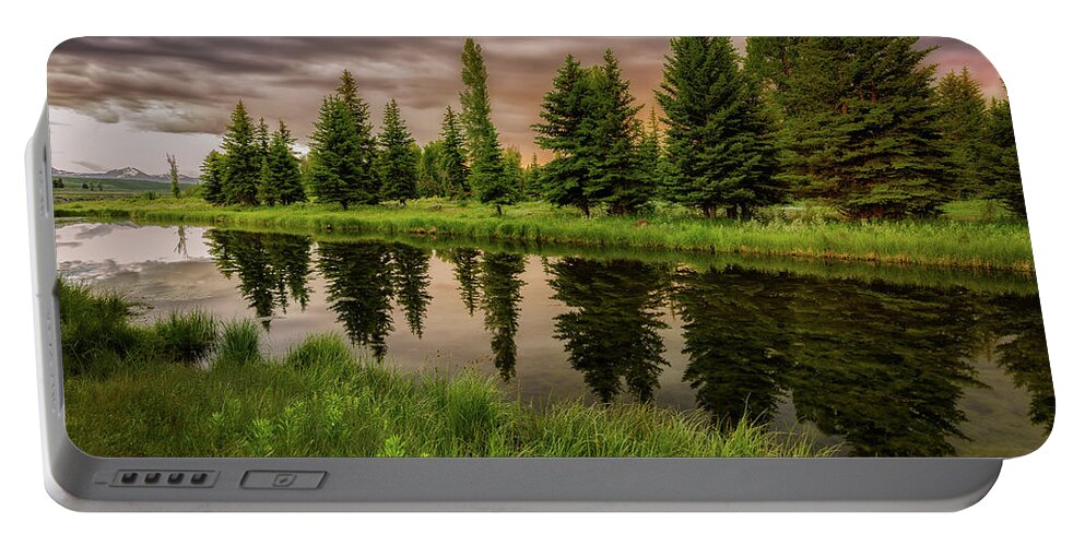 Grand Teton National Park Portable Battery Charger featuring the photograph Tree Reflection by C Renee Martin