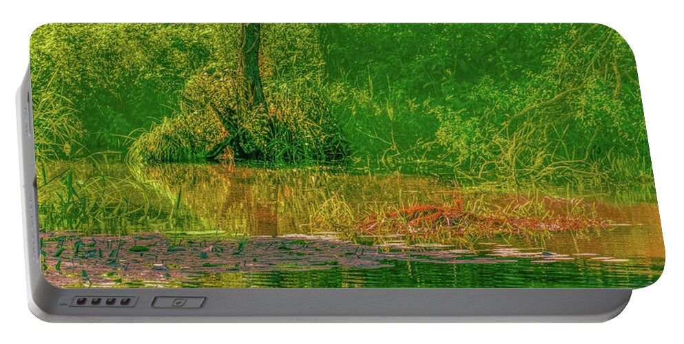 Tree Portable Battery Charger featuring the photograph Tree reflection June 2016 by Leif Sohlman