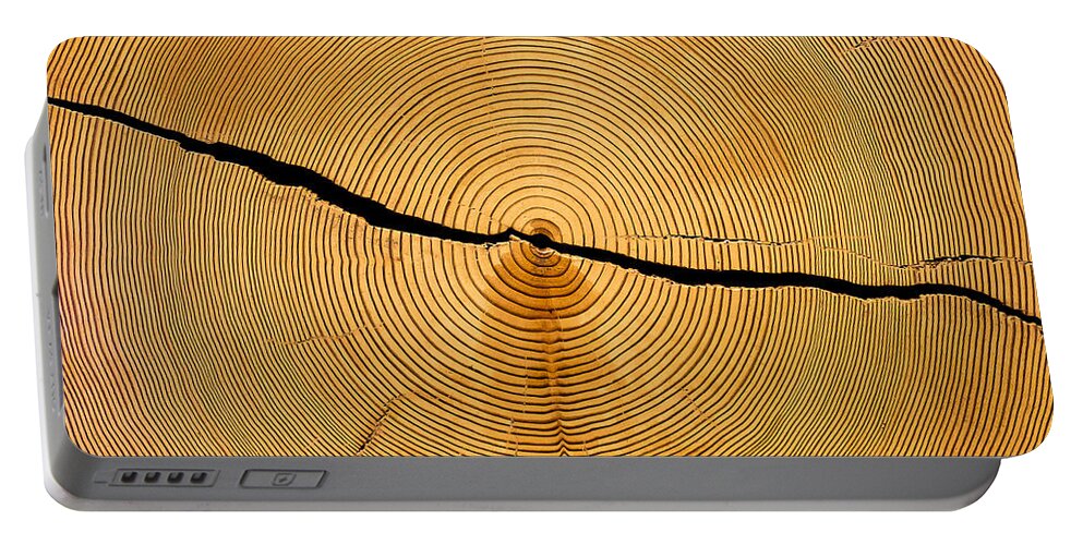 Tree Rings Portable Battery Charger featuring the photograph Tree Rings by Steven Ralser