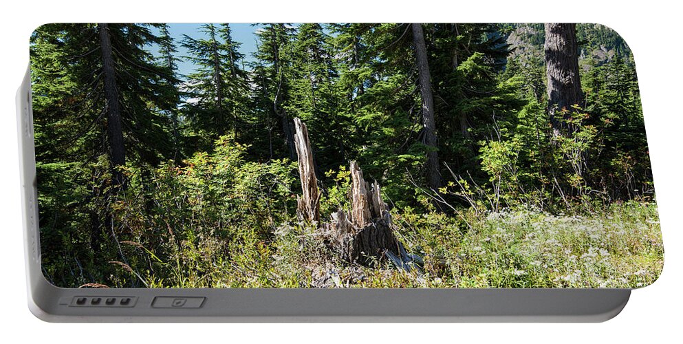 Tree Portable Battery Charger featuring the photograph Tree Stump Near Picture Lake by Tom Cochran