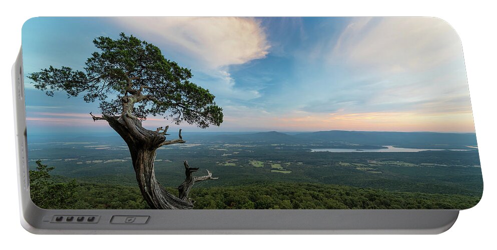 Arkansas Portable Battery Charger featuring the photograph Tree Vs World 2 by Mati Krimerman