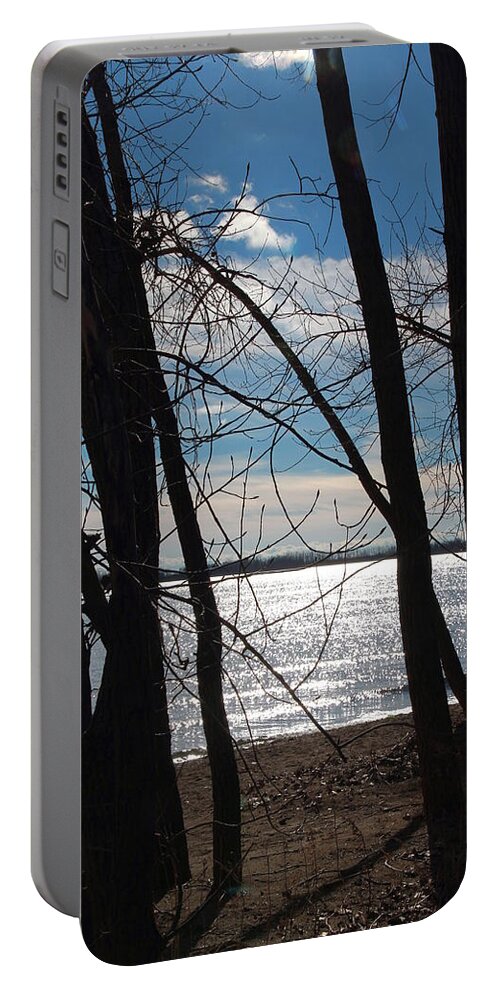 Sandy Portable Battery Charger featuring the photograph Trees and Lake Reflections by Valentino Visentini