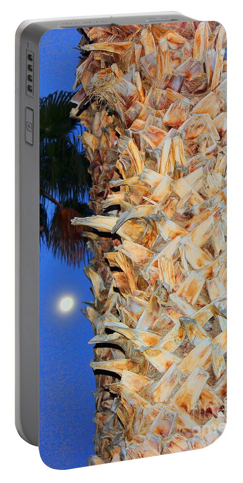 Palm Trees Portable Battery Charger featuring the photograph Trees Capture Sun by Roberta Byram