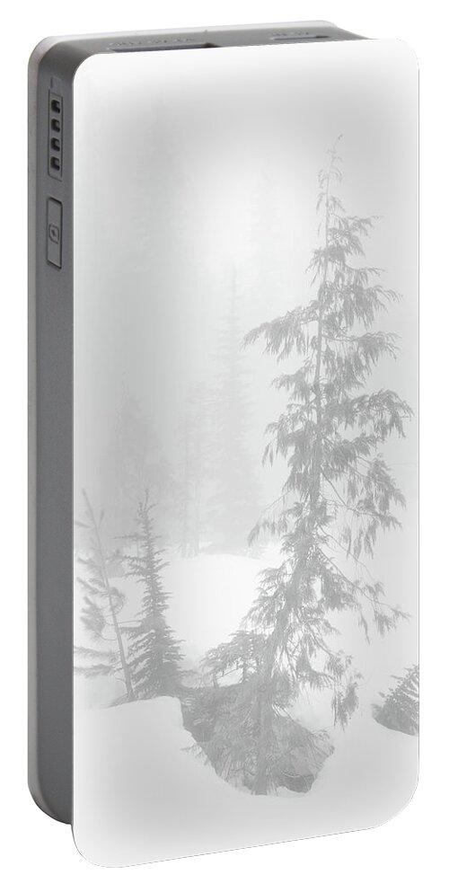 Tree Portable Battery Charger featuring the photograph Trees in Fog Monochrome by Tim Newton