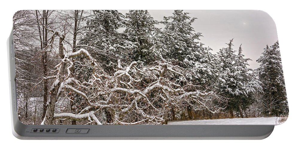 Magic Hour Portable Battery Charger featuring the photograph Trees Of Winter by Angelo Marcialis