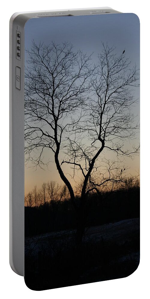  Portable Battery Charger featuring the photograph Treescape at Dusk by Aggy Duveen