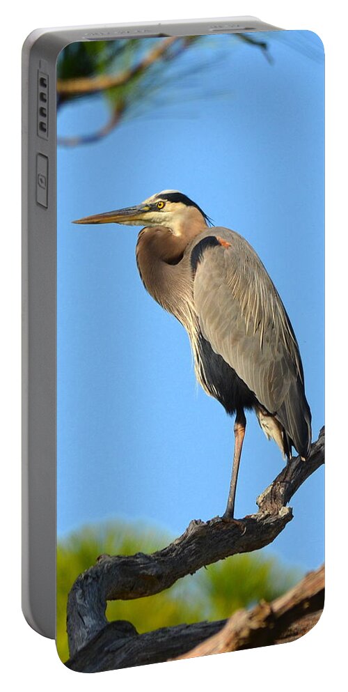 Great Blue Heron Portable Battery Charger featuring the photograph Treetop Great Blue Heron by Carla Parris