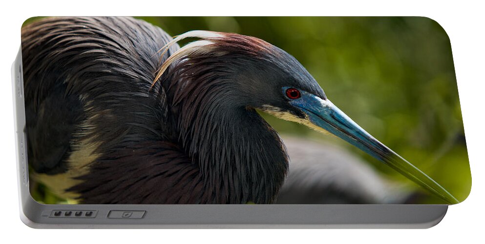 Nature Portable Battery Charger featuring the photograph Tri-Colored Heron by Christopher Holmes
