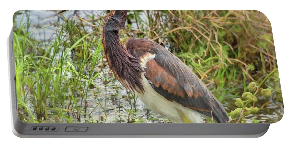 Celery Fields Portable Battery Charger featuring the photograph Tri-Colored Heron by Richard Goldman
