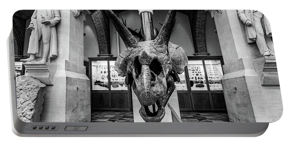 Triceratops Portable Battery Charger featuring the photograph Triceratops skull by Ed James