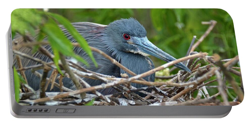 Nest Portable Battery Charger featuring the photograph Nesting Tricolored Heron by Carol Bradley