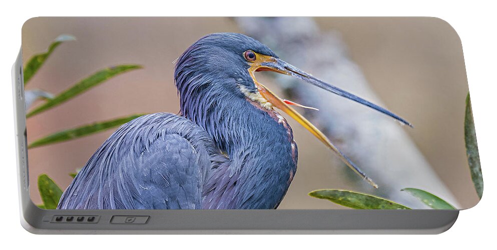 Nature Portable Battery Charger featuring the photograph Tricolored Heron Yawning UP CLOSE by DB Hayes