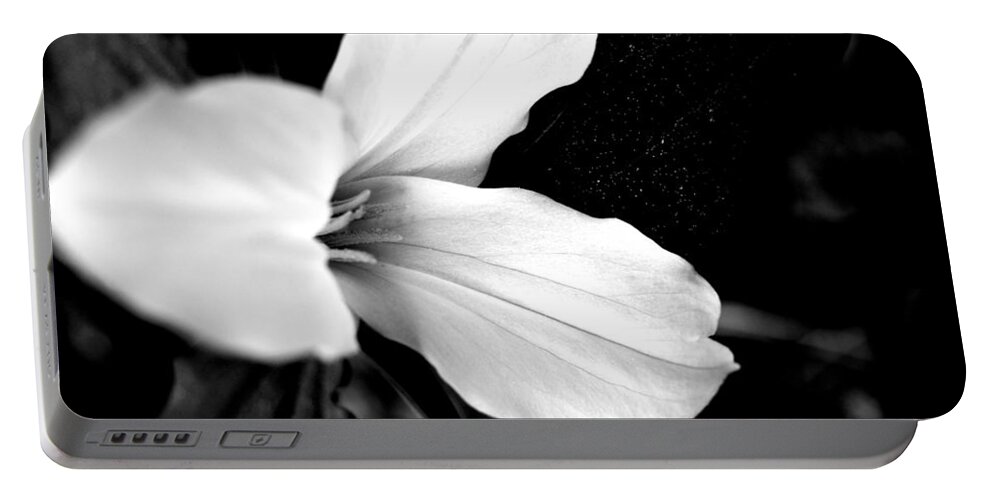  Portable Battery Charger featuring the photograph Trillium 2015 B n W by Daniel Thompson