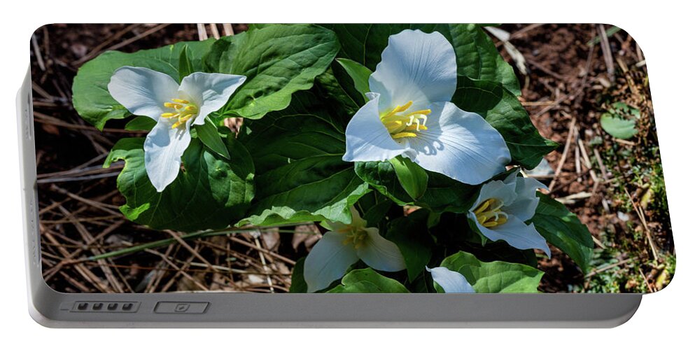 Trillium Portable Battery Charger featuring the photograph Trillium Bouquet in the Woods by Kathleen Bishop