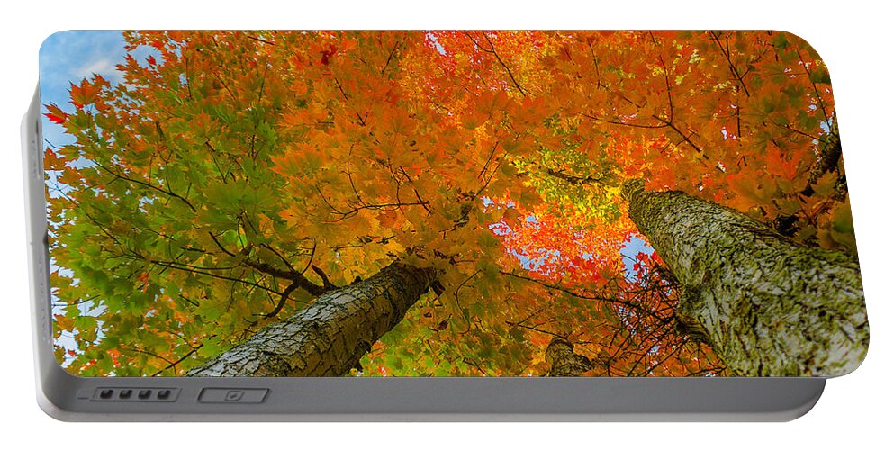Maple Tree Portable Battery Charger featuring the photograph Triple the Maples by Tim Kirchoff