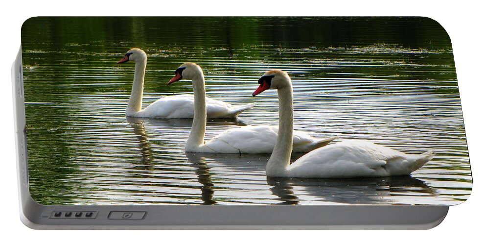 Swans Portable Battery Charger featuring the photograph Triplet Swans by September Stone