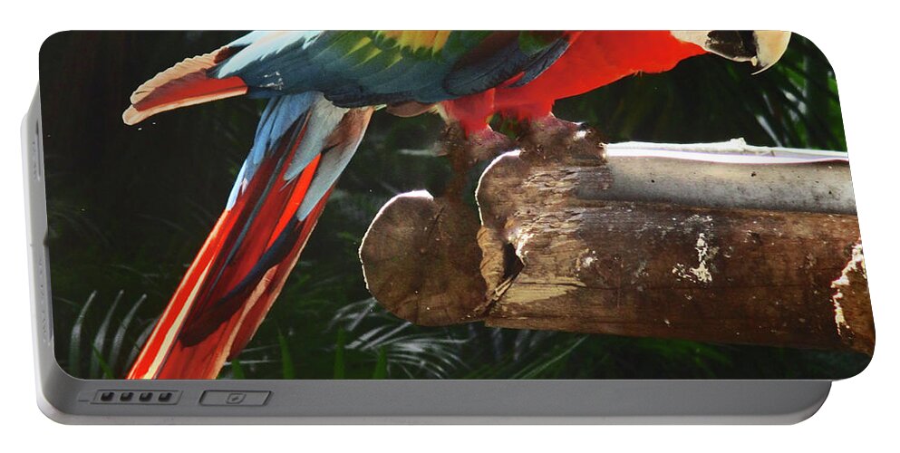 Bird Portable Battery Charger featuring the photograph Tropical Bird 6 by Randall Weidner