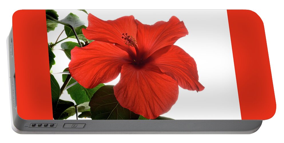 Hibiscus Portable Battery Charger featuring the photograph Tropical Bloom. by Terence Davis