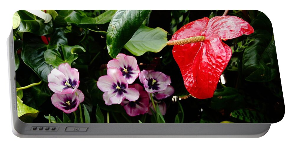 Flower Portable Battery Charger featuring the photograph Tropical Flamingo Red by Allen Nice-Webb