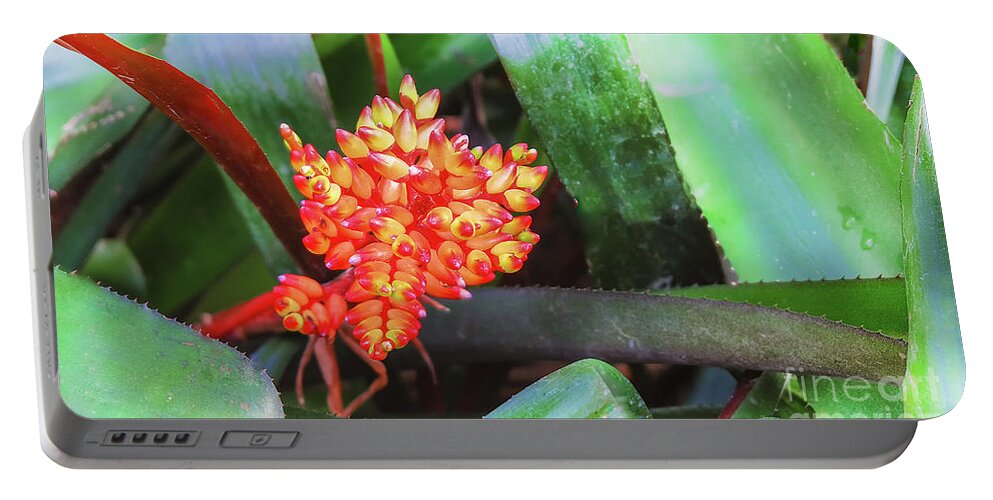 Tropical Plant Costus By Marina Usmanskaya Portable Battery Charger featuring the photograph Tropical plant Costus by Marina Usmanskaya