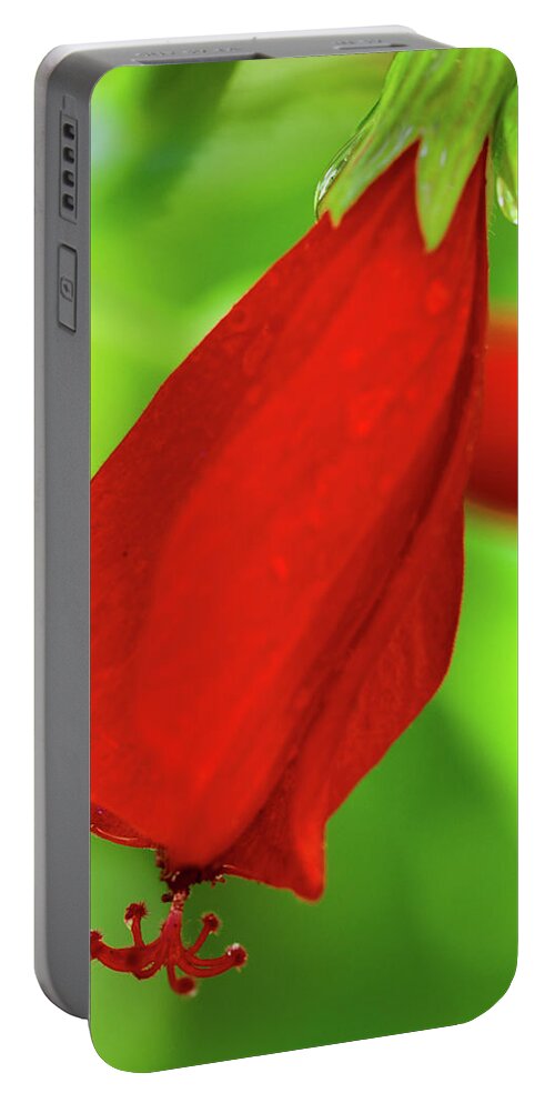 Tropical Portable Battery Charger featuring the photograph Tropical Red Bud by Mary Anne Delgado