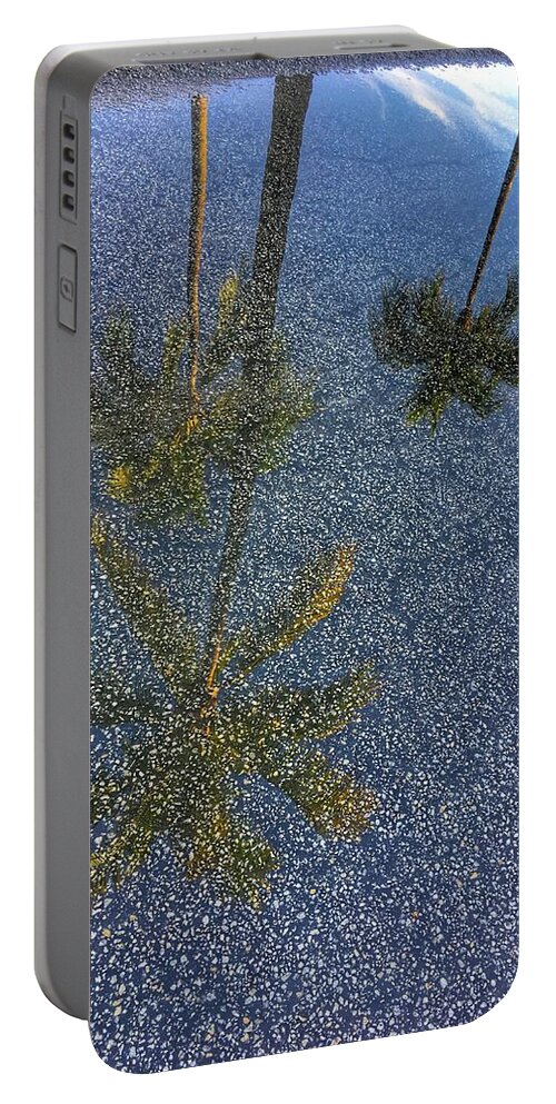 Florida Portable Battery Charger featuring the photograph Tropical Reflections 2 Delray Beach Florida by Lawrence S Richardson Jr