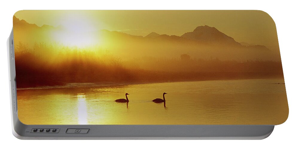 Mp Portable Battery Charger featuring the photograph Trumpeter Swan Cygnus Buccinator Pair by Michael Quinton