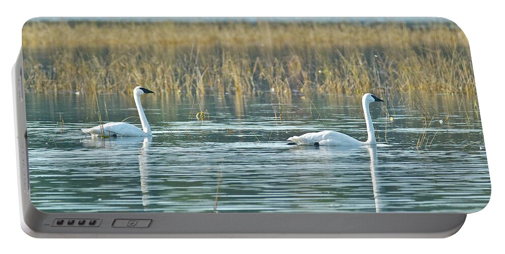 Swan Portable Battery Charger featuring the photograph Trumpeter swans9732 by Michael Peychich